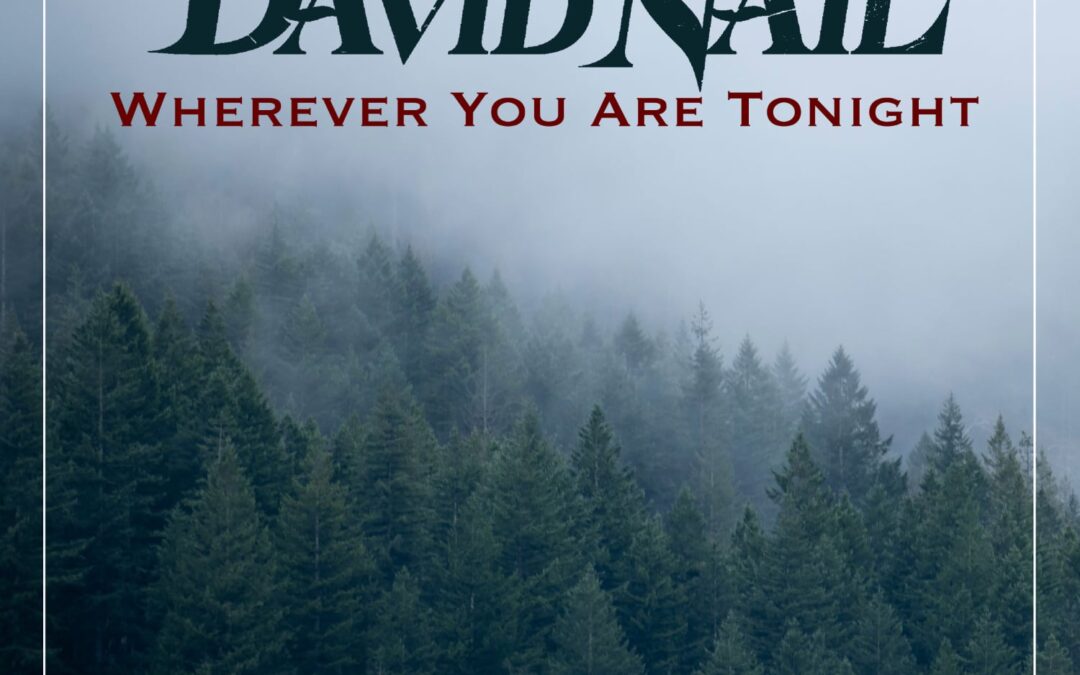 David Nail Releases New Single “Wherever You Are Tonight” & Kicks Off Story To Tell Tour